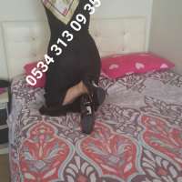 Heyecan Dolu Bir Gece: Göz Kamaştıran Türk Escort Bayan